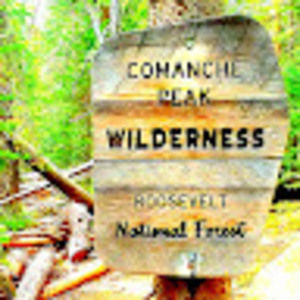 Meet your Posher, Alone in the woods